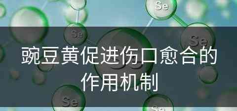 豌豆黄促进伤口愈合的作用机制